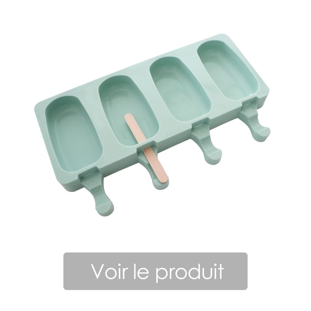 moule glace magnum